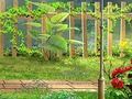 Trò chơi Số vườn bí mật ẩn danh  trực tuyến