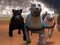 Trò chơi Đua chó Greyhound trực tuyến