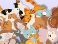 Trò chơi Tìm Kitty  trực tuyến