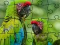 Trò chơi Trò Chơi Ghép Hình Rừng Nhiệt Đới trực tuyến