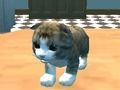 Trò chơi Cat Simulator: Kitty Craft! trực tuyến
