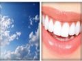 Trò chơi Thử nghiệm Hình ảnh 4x1  trực tuyến