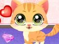 Trò chơi Chăm sóc thú vị kitty trực tuyến