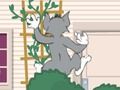 Trò chơi Tom und Jerry: Wasserbomben Wahnsinn trực tuyến