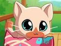 Trò chơi Túi của tôi vật nuôi mèo kitty  trực tuyến