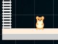 Trò chơi Hamster thông minh: Chẵn và lẻ  trực tuyến