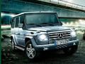 Trò chơi Câu Đố Xe Off-Road trực tuyến