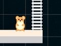 Trò chơi Giờ Hamster Thông Minh  trực tuyến