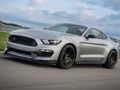 Trò chơi Câu đố Mustang Shelby trực tuyến