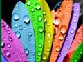 Trò chơi Màu sắc và Thiết kế trực tuyến