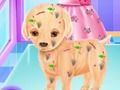 Trò chơi Phẫu thuật chó con Baby Elsa trực tuyến
