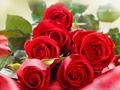 Trò chơi Hoa hồng đỏ trực tuyến