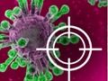 Trò chơi Hủy diệt virus trực tuyến