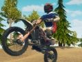 Trò chơi Dirt Bike Enduro Racing trực tuyến