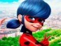 Trò chơi Bộ sưu tập câu đố ghép hình LadyBug  trực tuyến