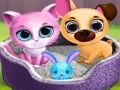Trò chơi Bạn Bè Thú Cưng Đáng Yêu trực tuyến