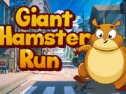 Trò chơi Hamster khổng lồ chạy trực tuyến