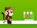 Trò chơi Jungle Monkey chạy trực tuyến