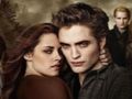 Trò chơi Bộ sưu tập câu đố ghép hình Twilight trực tuyến Trò chơi Bộ sưu tập câu đố ghép hình Twilight trực tuyến