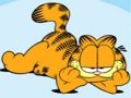 Trò chơi Bộ sưu tập câu đố ghép hình Garfield  trực tuyến