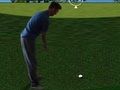 Trò chơi Flash Golf 3D  trực tuyến