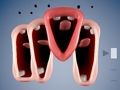 Trò chơi Điệp khúc vui nhộn  trực tuyến