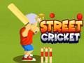 Trò chơi Cricket đường phố trực tuyến