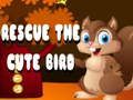 Trò chơi Giải cứu chú chim dễ thương  trực tuyến