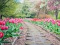 Trò chơi Jigsaw Pathway trực tuyến