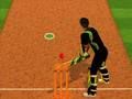 Trò chơi Thách thức của Vận động viên Cricket trực tuyến