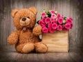 Trò chơi Trò Chơi Gấu Bông Xinh Xắn trực tuyến