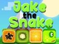 Trò chơi Jake Con Rắn trực tuyến