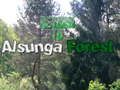 Trò chơi Trở lại Rừng Alsunga  trực tuyến