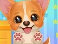 Trò chơi Nhận con nuôi của bạn Puppy  trực tuyến