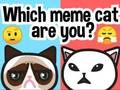 Trò chơi Bạn là con mèo meme nào? trực tuyến