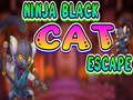 Trò chơi Chạy Trốn Mèo Đen Ninja trực tuyến