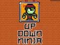 Trò chơi Lên xuống Ninja trực tuyến