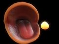 Trò chơi Pac-Man trực tuyến