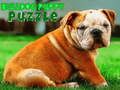 Trò chơi Bulldog Puppy Puppy  trực tuyến