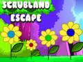 Trò chơi Scrubland trốn thoát trực tuyến
