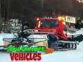 Trò chơi Xe Snow Groomer  trực tuyến