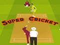 Trò chơi Siêu cricket trực tuyến