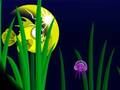 Trò chơi FLASH FISH FREDDIE trực tuyến