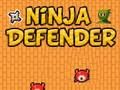 Trò chơi Hậu vệ Ninja trực tuyến