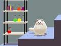 Trò chơi Con mèo kép của Schrödinger  trực tuyến