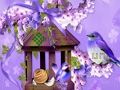 Trò chơi Tuyệt vời Humming Bird Land Escape  trực tuyến