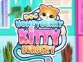 Trò chơi Tiến sĩ Phẫu thuật HoneyBerry Kitty  trực tuyến