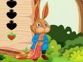 Trò chơi Sóc thoát  trực tuyến