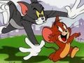 Trò chơi Câu đố về Jerry và Tom  trực tuyến