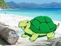 Trò chơi Cặp cua biển trốn thoát  trực tuyến
